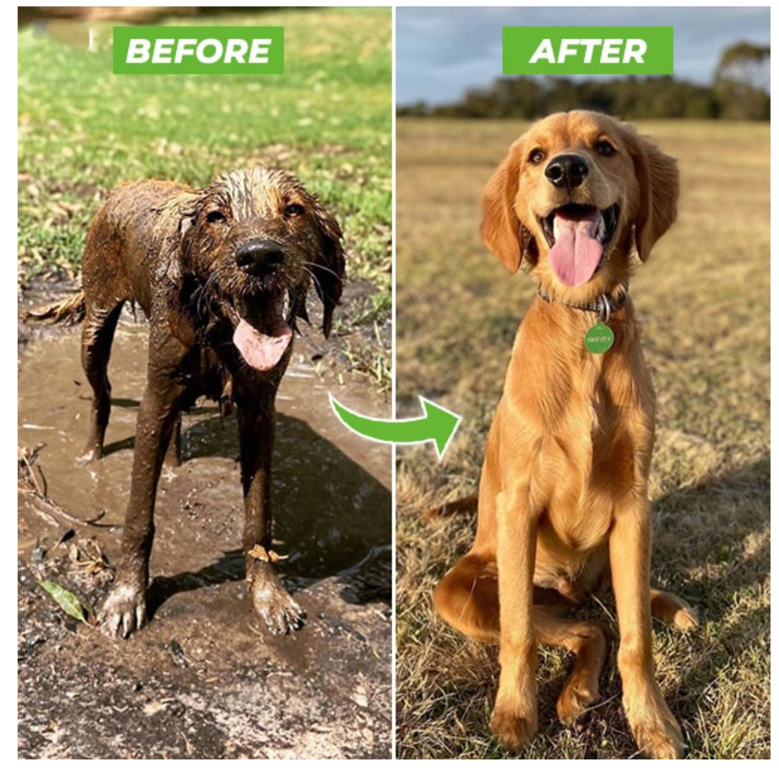 Roobze | Dog Cleaning Gun