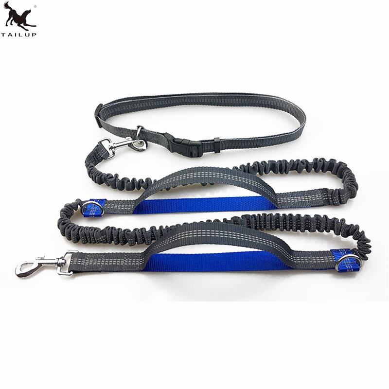 Hands-Free Dog Leash