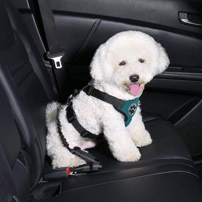 Roobze | Dog Seat Belt