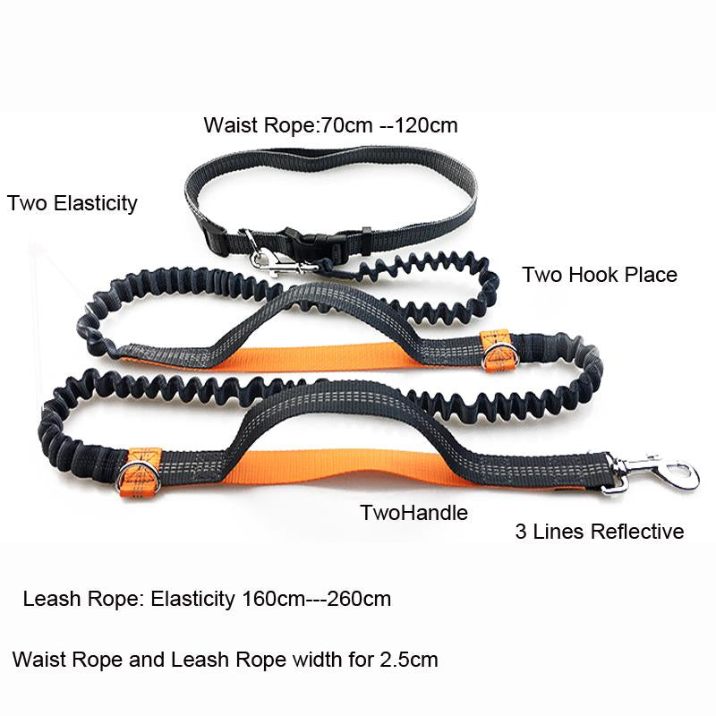 Hands-Free Dog Leash