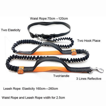 Hands-Free Dog Leash