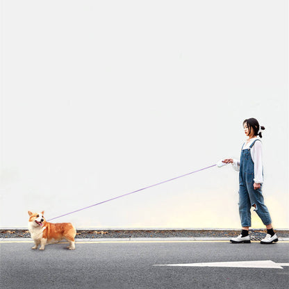 LED Retractable Dog Leash