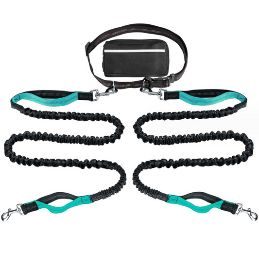 Hands Free Dog Leash (2 Dog Version)