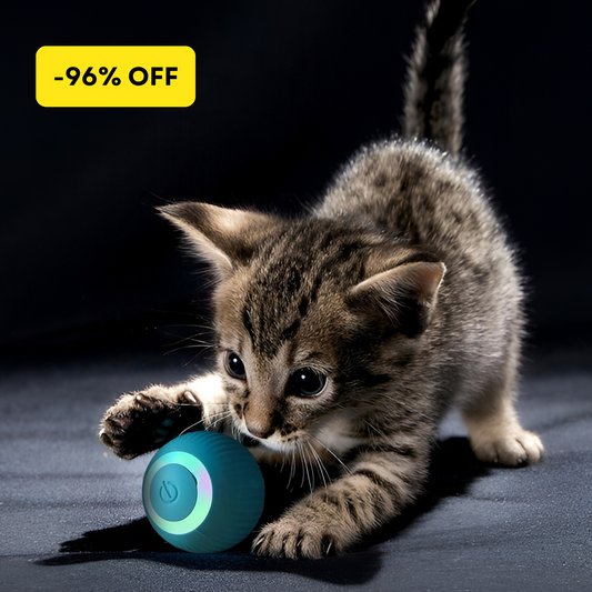 Roobze | Electric Cat Ball Toy