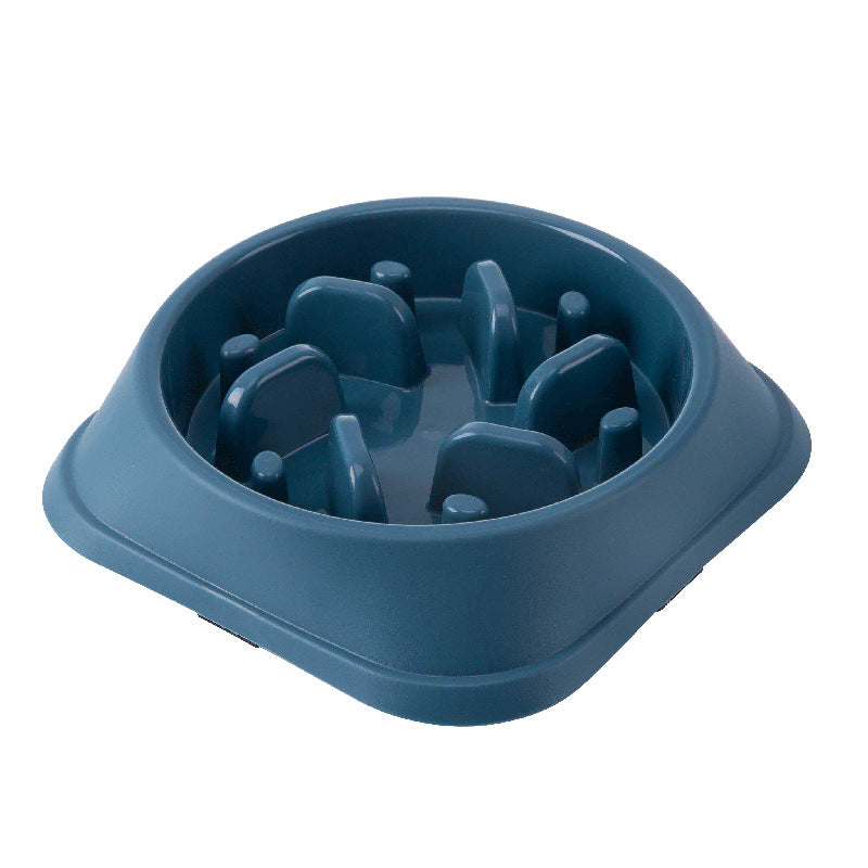 Slow Eating Dog Food Bowl