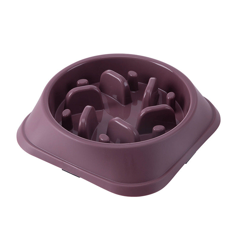 Slow Eating Dog Food Bowl