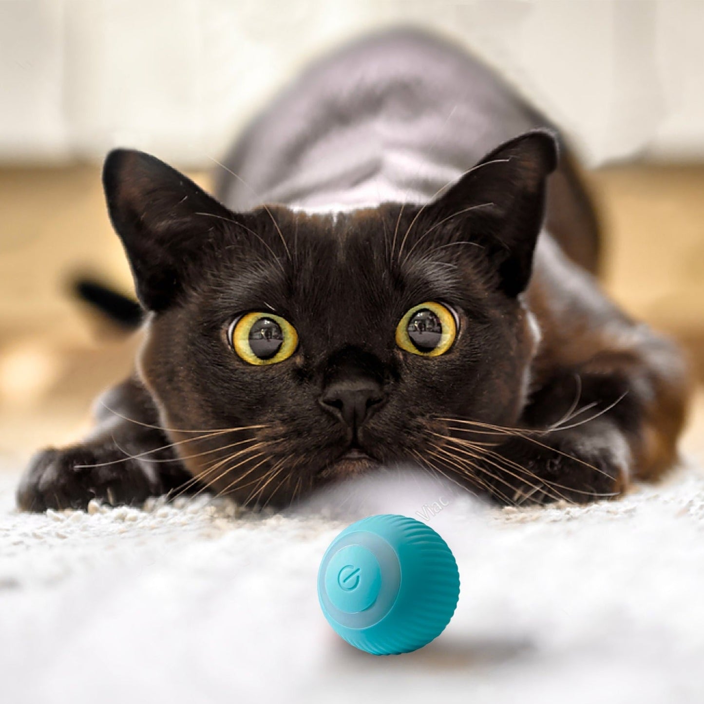 Electric Cat Ball Toy