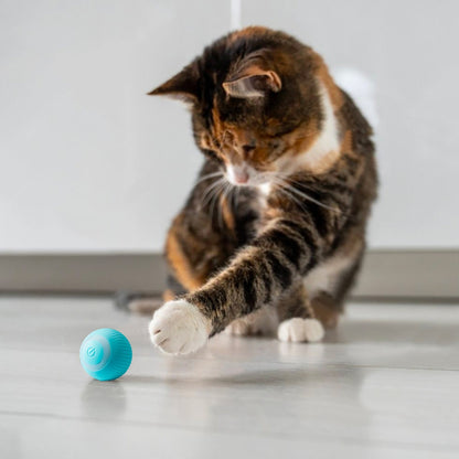 Roobze | Smart Electric Cat Ball Toy - FREE