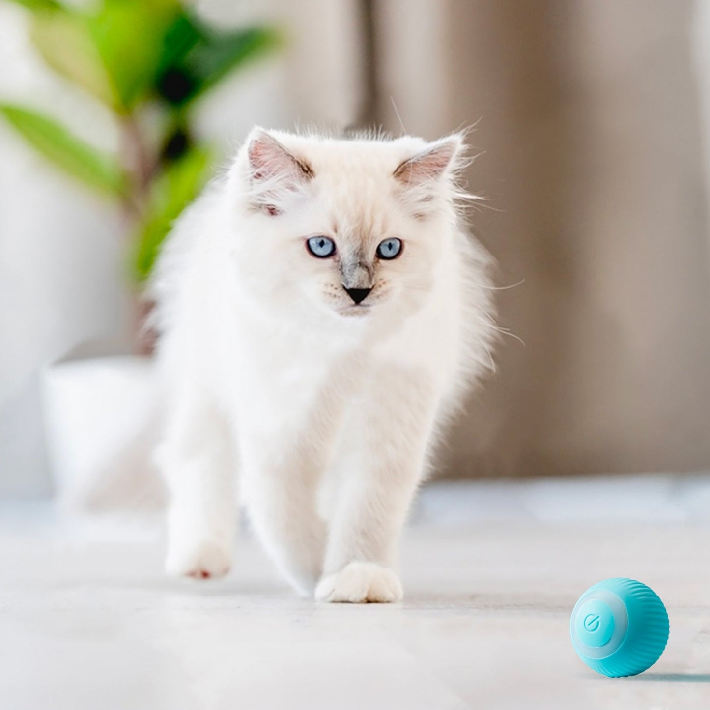 Roobze | Smart Electric Cat Ball Toy