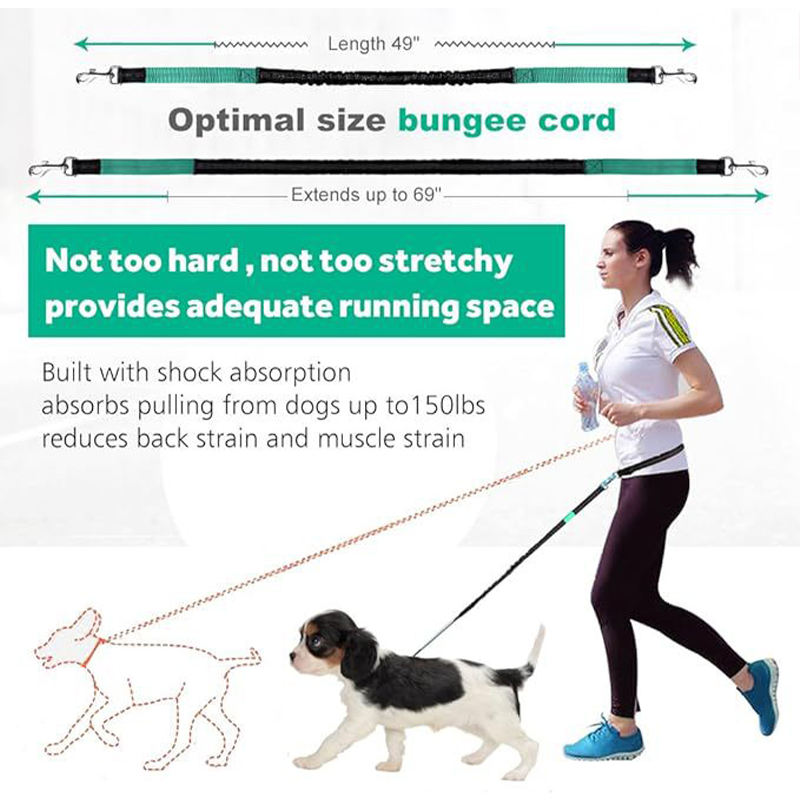 Hands Free Dog Leash (2 Dog Version)