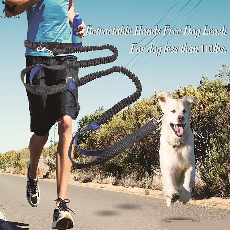 Hands-Free Dog Leash