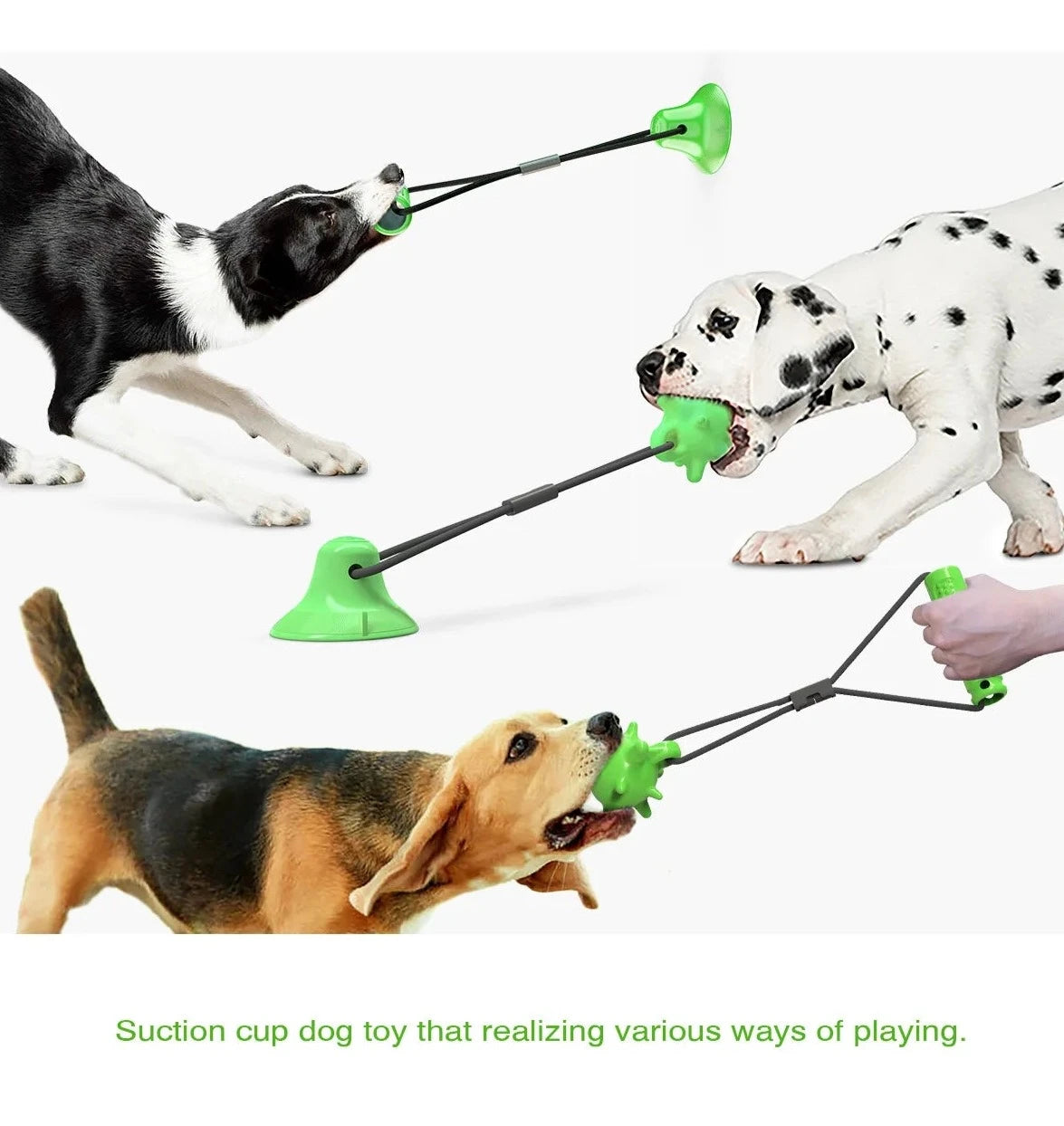 Suction Cup Tug Toy